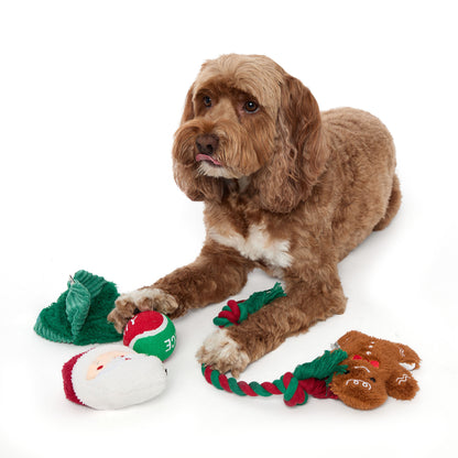 5 Piece Dog Toy Set - US 7409