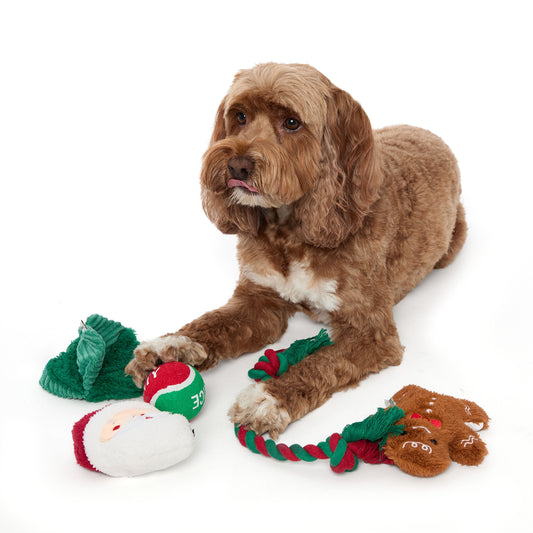 5 Piece Dog Toy Set - US 7409